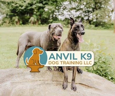 Anvil K9 Dog Training LLC