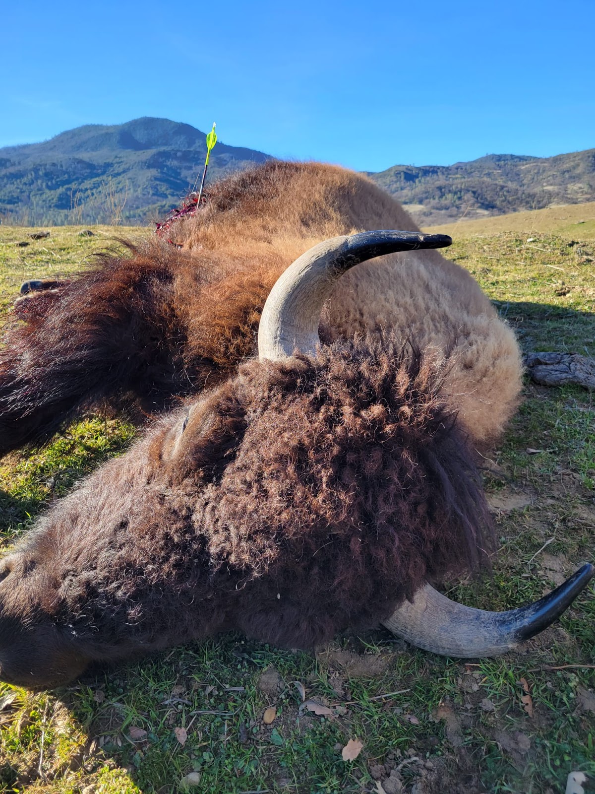 Conservative Game Management