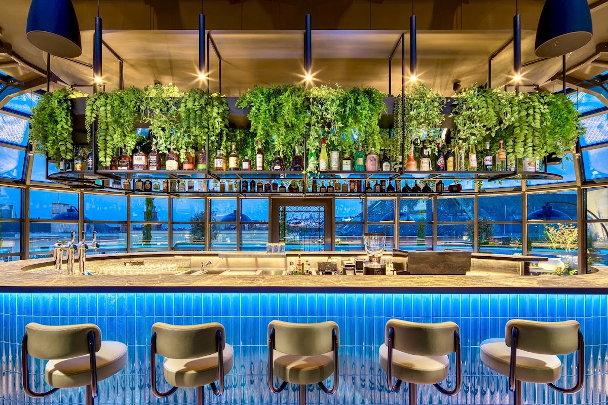 Kimpton BEM Budapest, dog-friendly hotel, photo 2
