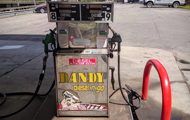 Dandy photo 2