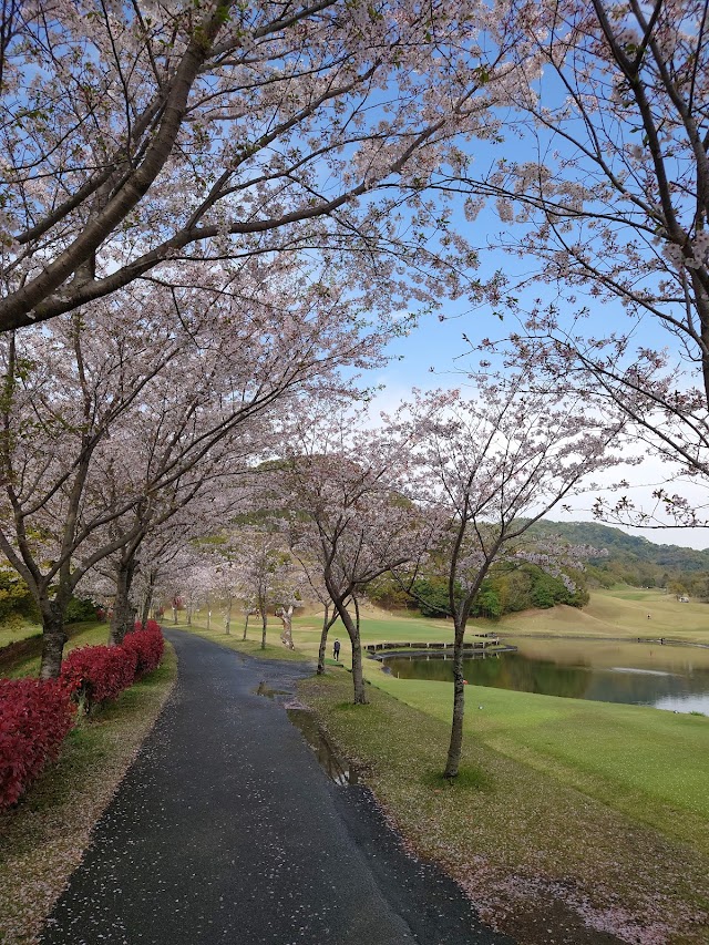 Fukuoka Sun Lake Golf Club - Photo 6