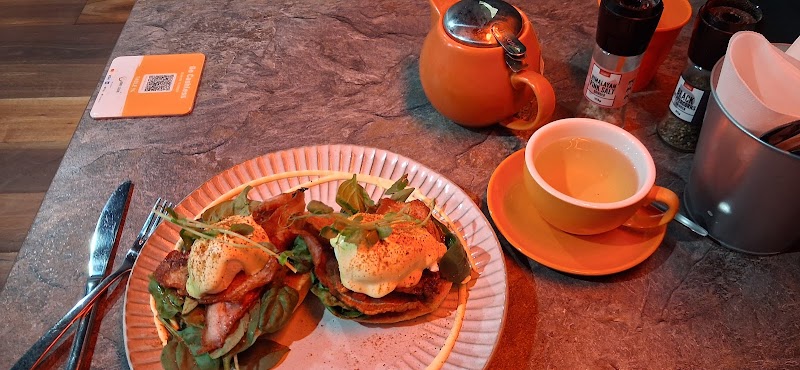 Kinky Lizard Cafe Barrack st photo 5