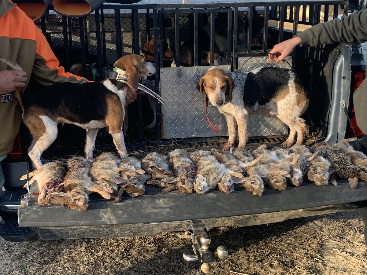 Rivers Edge Hunting