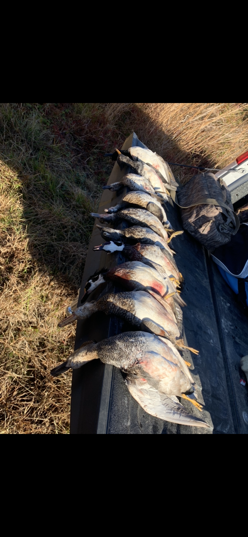 Rivers Edge Hunting - Photo 4