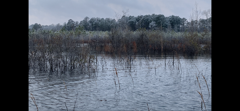 Rivers Edge Hunting - Photo 5