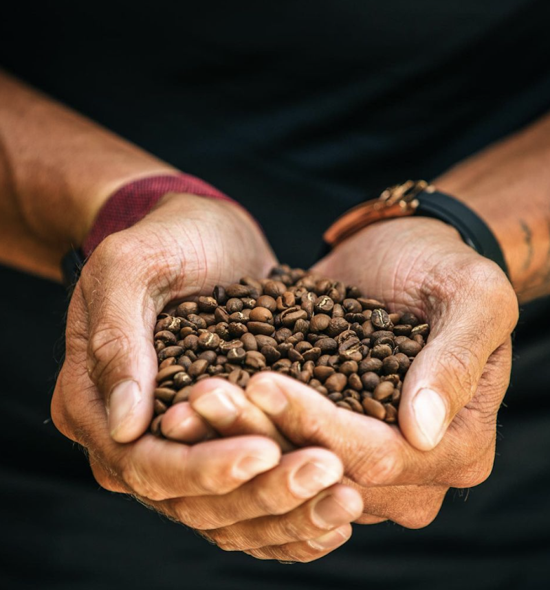 Almost Home General photo 2