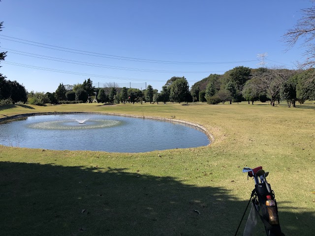 Chiyokawa Short Course - Photo 2
