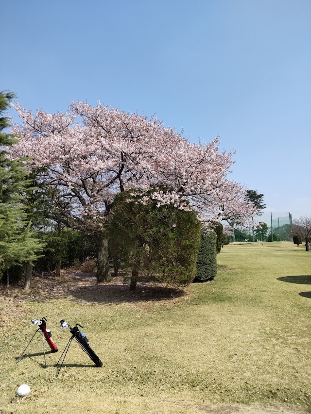 Chiyokawa Short Course - Photo 5
