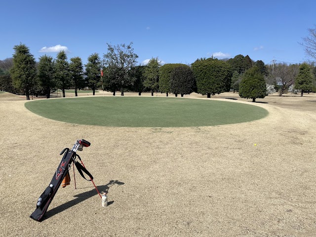 Chiyokawa Short Course - Photo 4