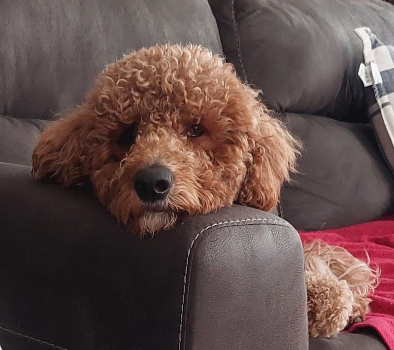 Aspen Dental - Smyrna, TN