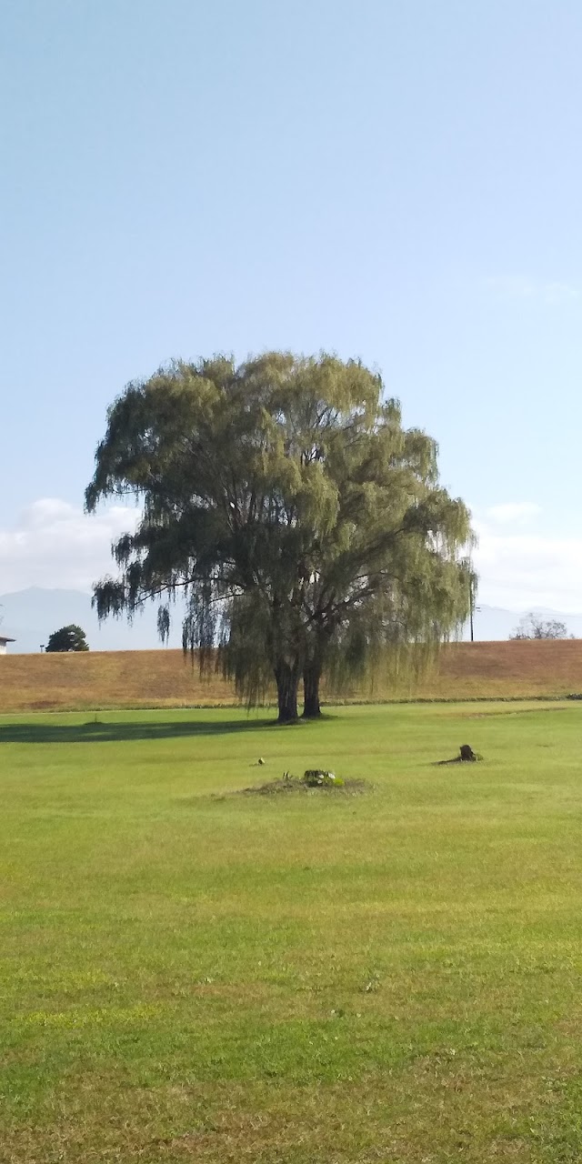 Mogami River Green Park Golf Course - Photo 3
