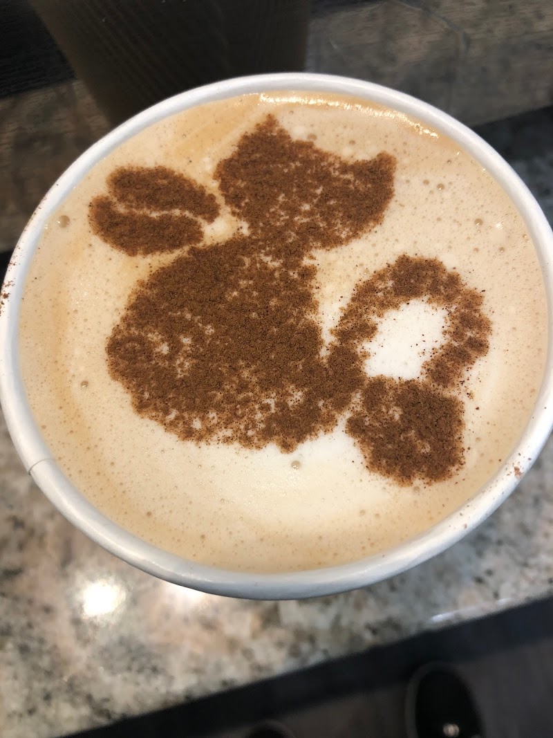 Cattyshack Cat Cafe photo 2