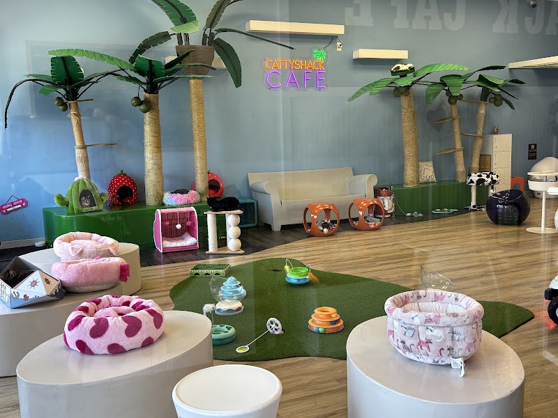 Cattyshack Cat Cafe photo 3