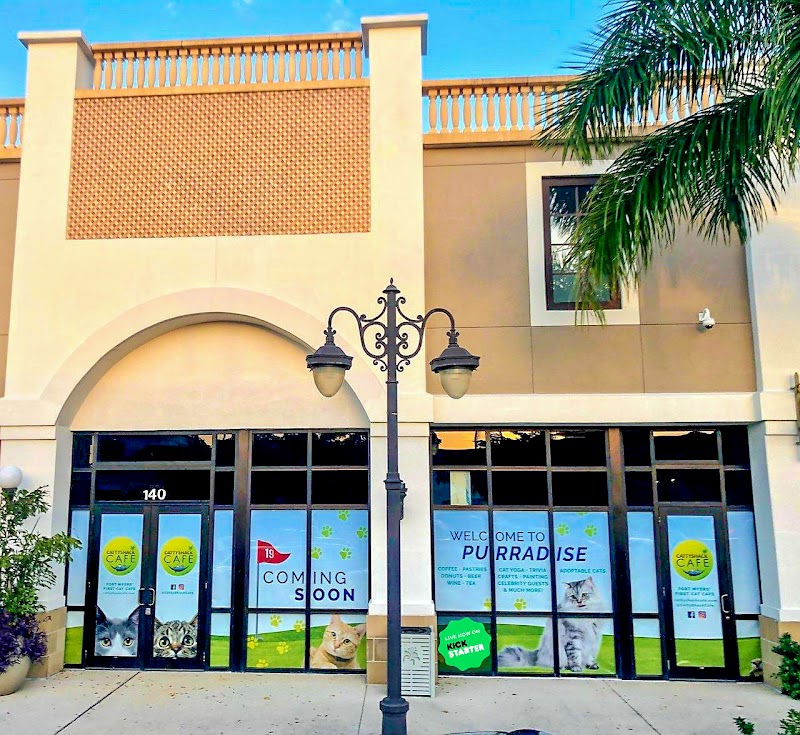 Cattyshack Cat Cafe photo 4