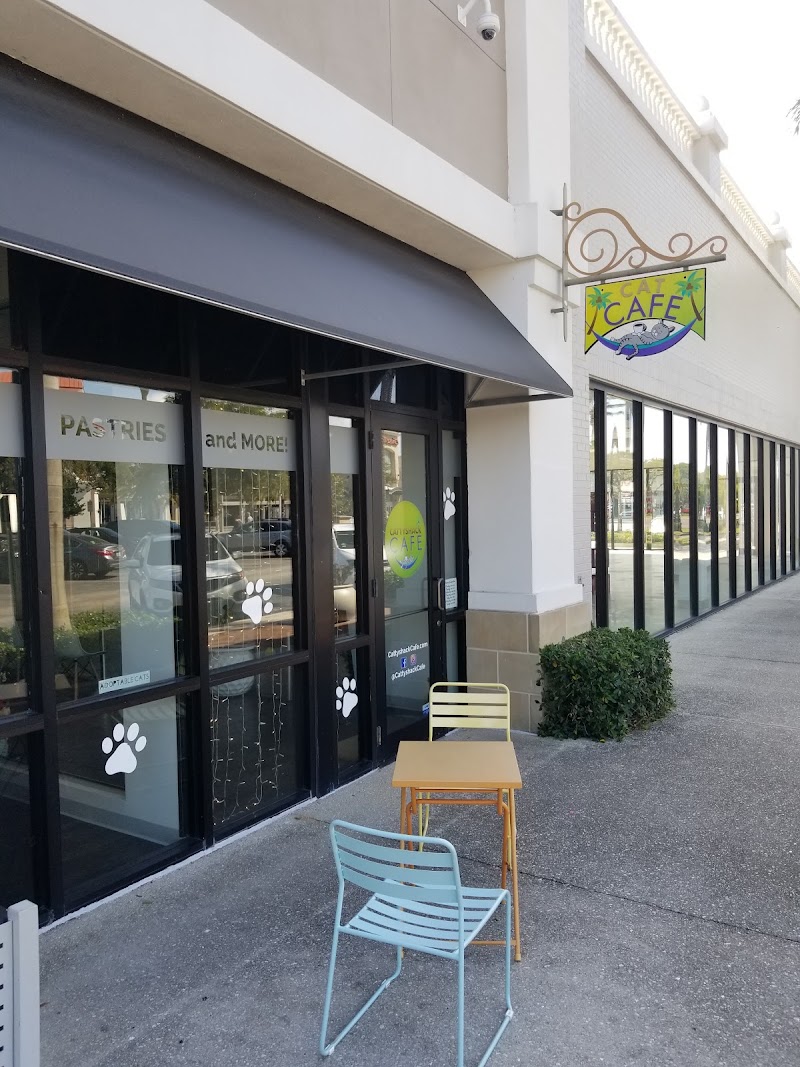 Cattyshack Cat Cafe photo 1
