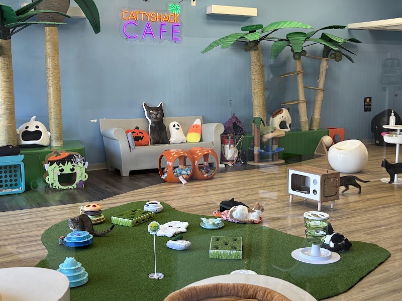 Cattyshack Cat Cafe photo 4