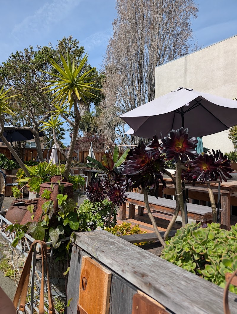 Cafe Leila photo 4