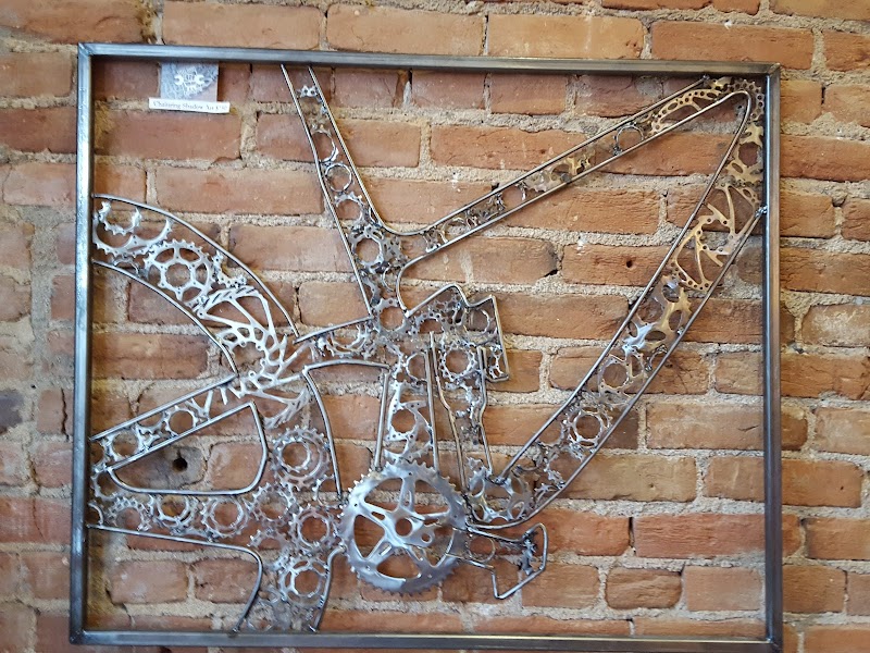 Double Shot Cyclery photo 1