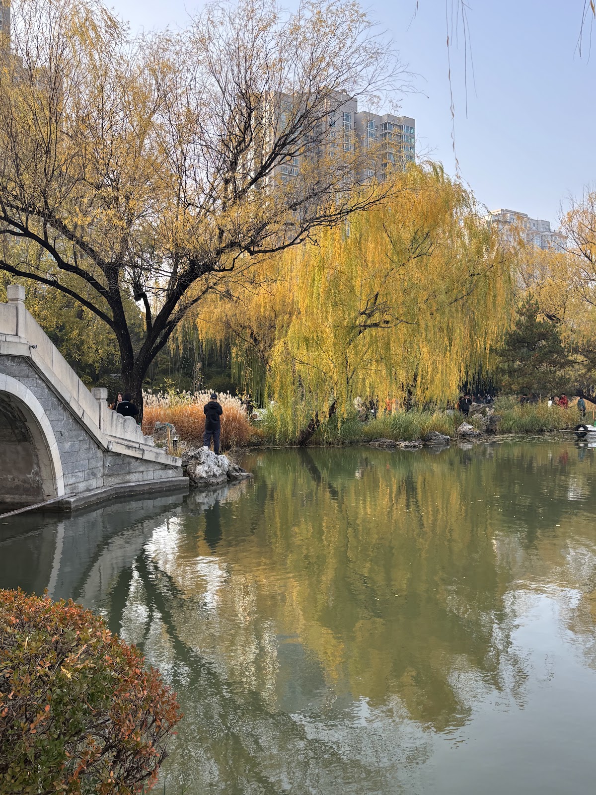 Zizhuyuan Park Amusement Park