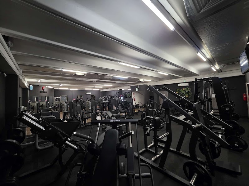 Palestra Ludus Magnus MCMLXXX A.s.d.