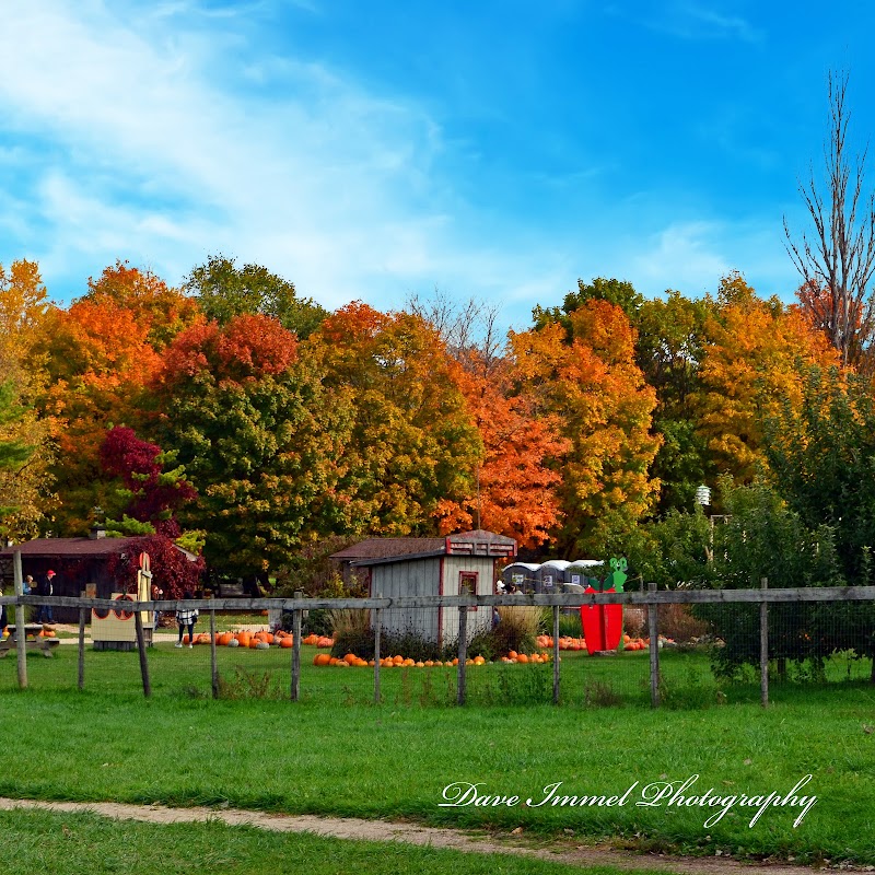 The Little Farmer llc. photo 4