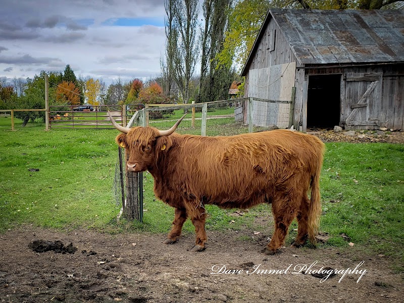 The Little Farmer llc. photo 2