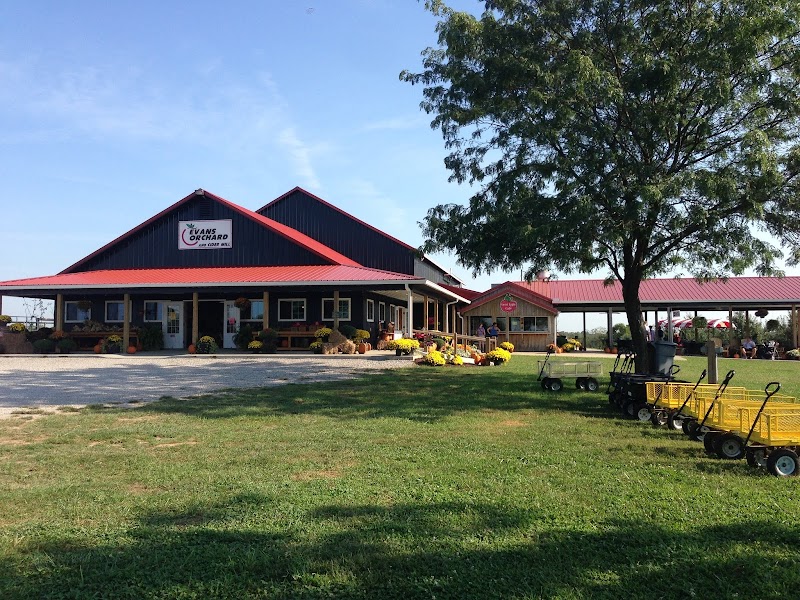 Evans Orchard and Cider Mill photo 1