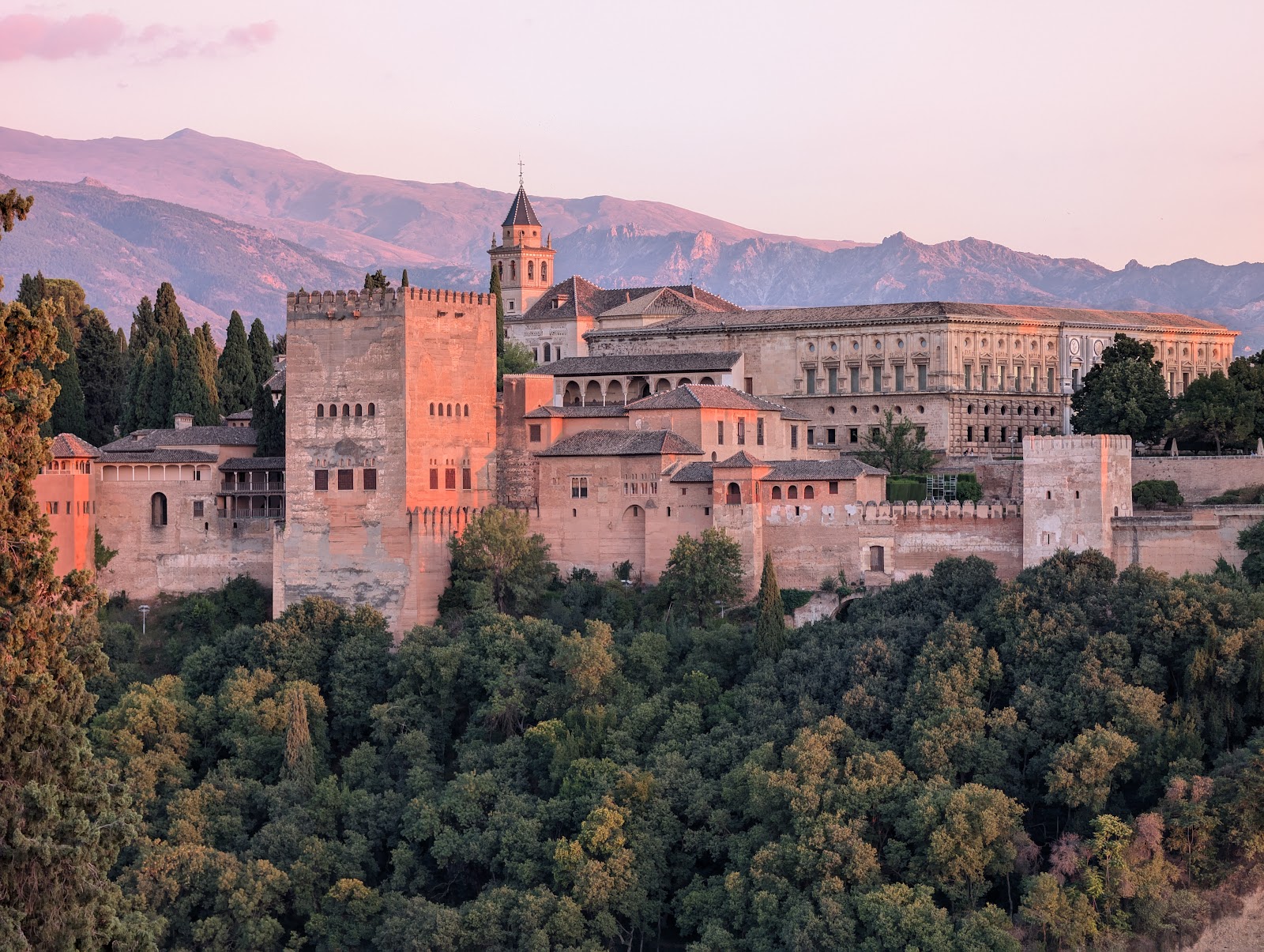 Best Dog-Friendly Hotels in Granada and Córdoba, Spain