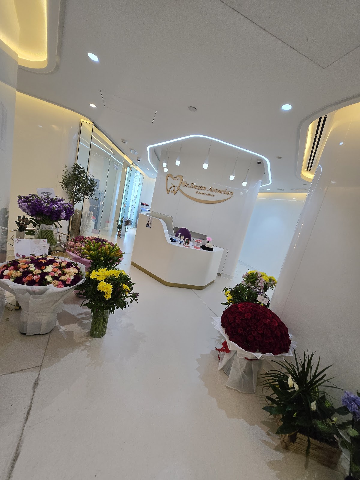 Dr Suzan Assarian Dental Clinic 5
