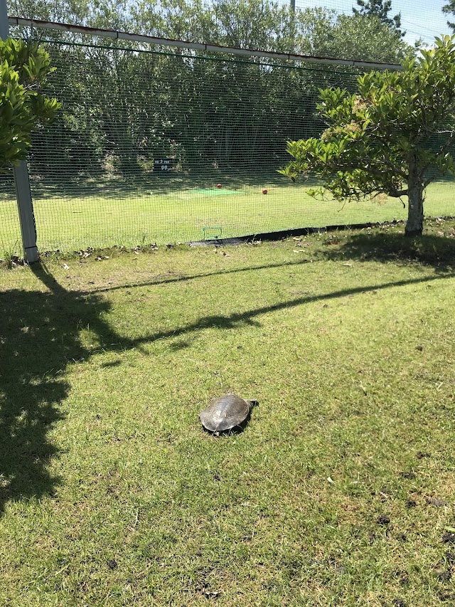 Hamamatsu Beachside Golf Club - Photo 7