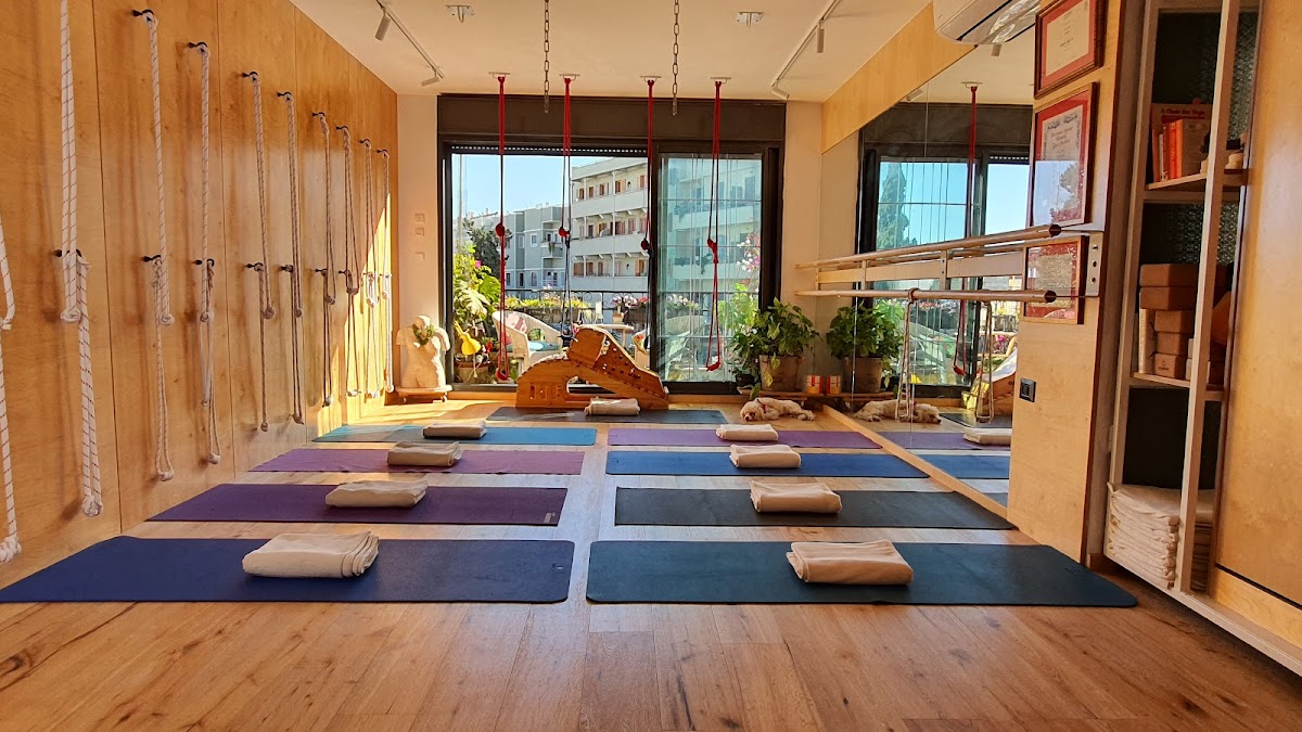 Dipika Iyengar Yoga איינגאר יוגה דיפיקה — 3