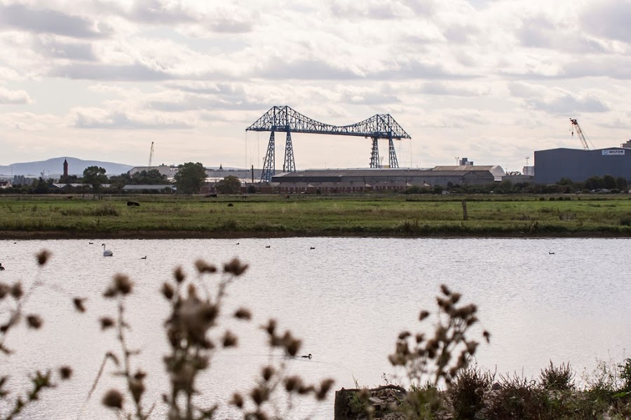RSPB Saltholme