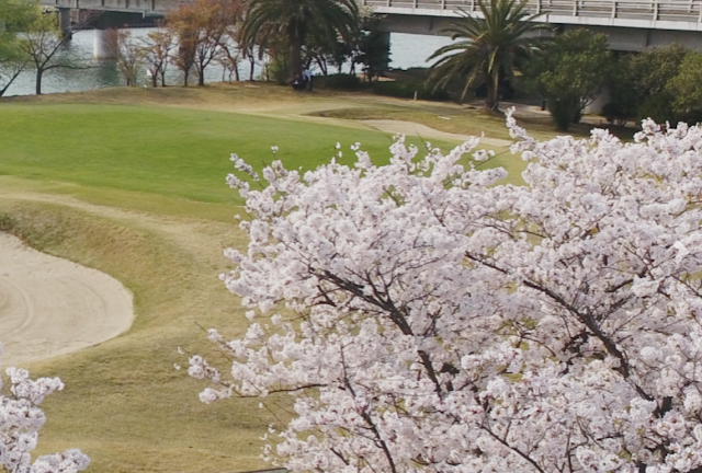 Nishio Golf Club - Photo 10