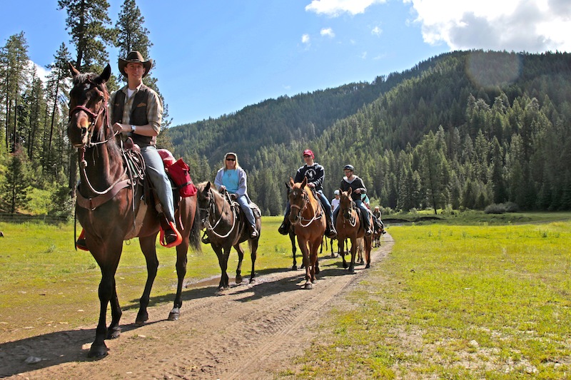 Red Horse Mountain Ranch - Photo 5