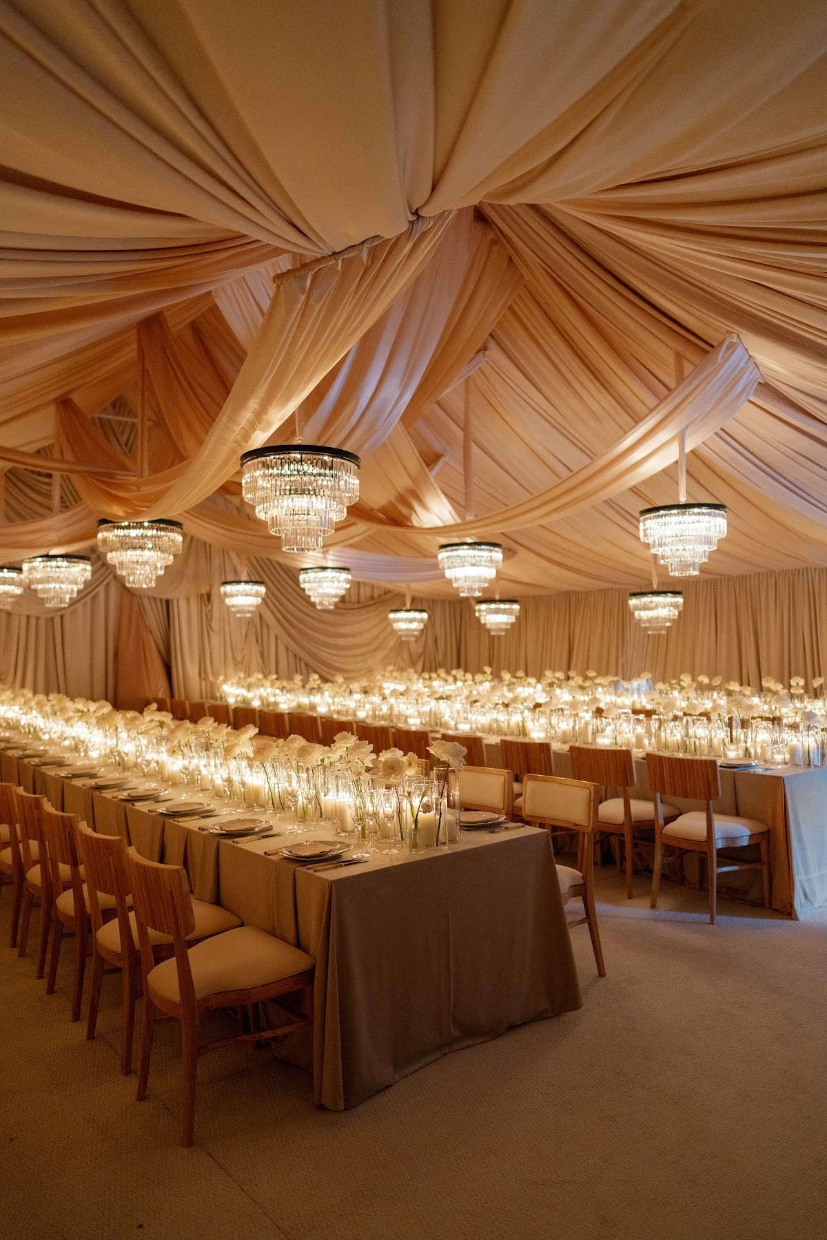 Rachel Behar Events: Google Places image 2