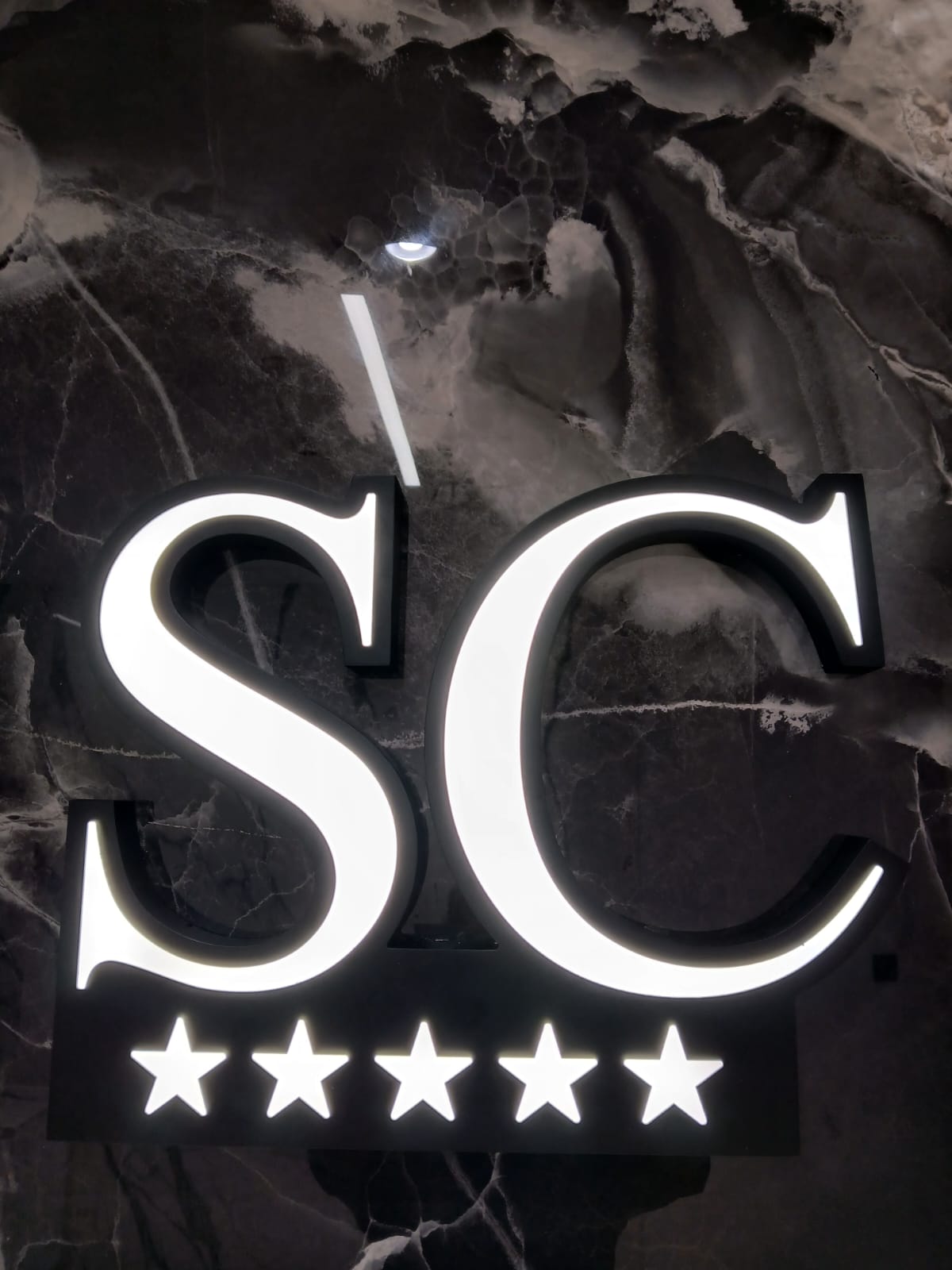San Chicago Aesthetic Medical Center L.L.C