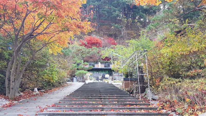 타샤의정원251 사진 3