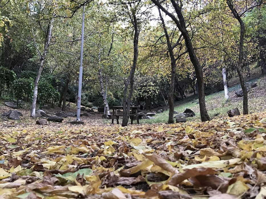 Portakal Çiçeği Parkı fotoğraf 1