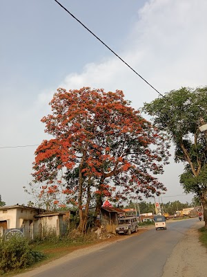 Dharmanagar Market