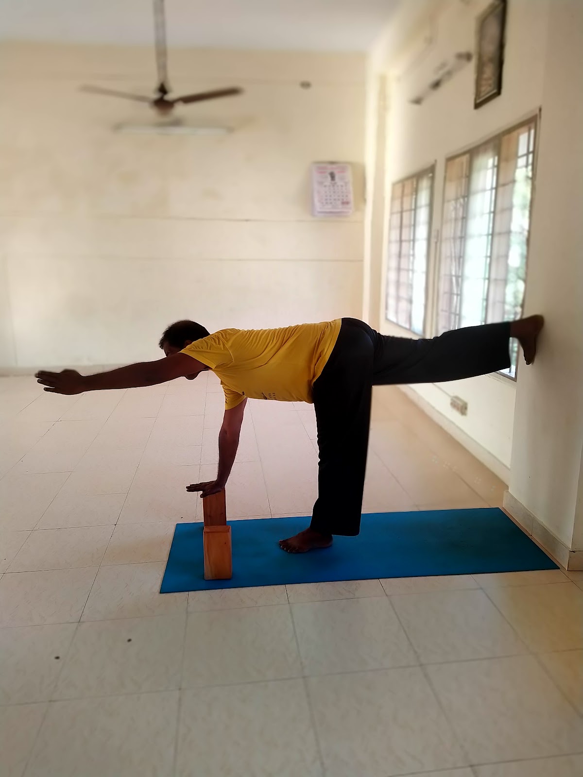 Ashtavidya School of Yoga — 3