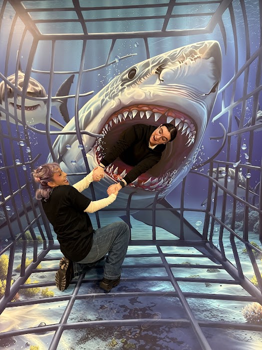 3D Fun Art Museum Lisboa fotoğraf 1