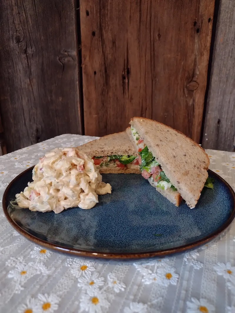 Tailwagger Cafe photo 3