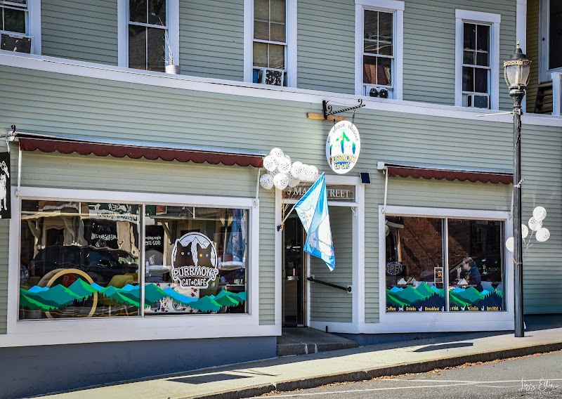 Purrmont Cat Cafe LLC photo 1