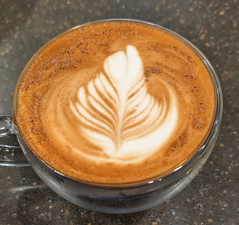 Purrmont Cat Cafe LLC photo 4