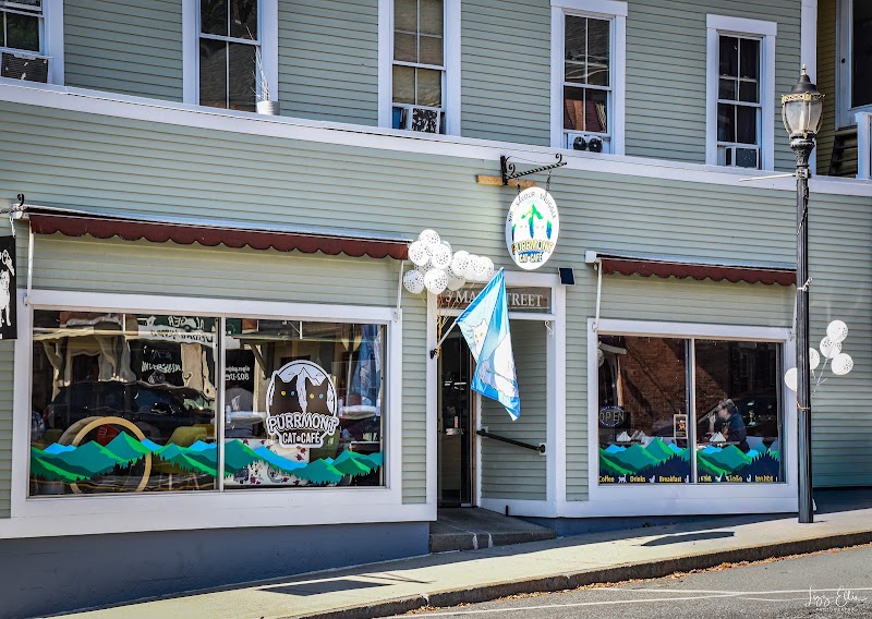 Purrmont Cat Cafe LLC photo 1