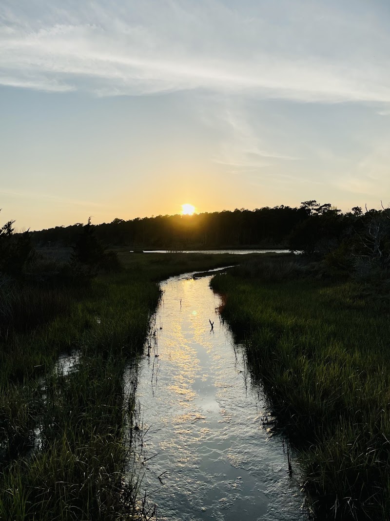 Morris landing Fishing
