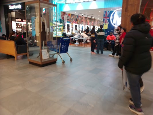 Moe & Co. Bendigo photo 2