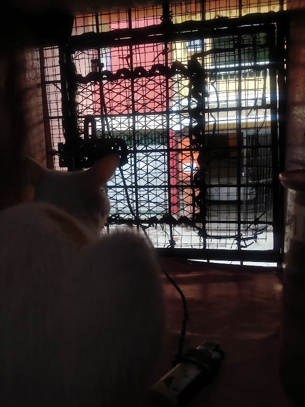 Ate Ester's Sari-sari Store