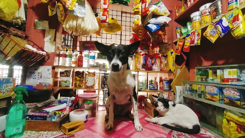 Ate Ester's Sari-sari Store