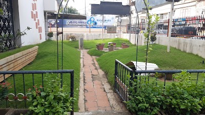 Dr Veena Choodamani - Image 2